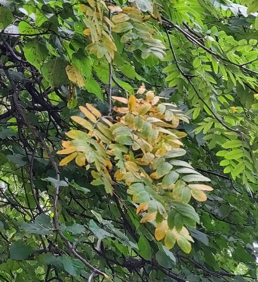 20260805_102757.jpg