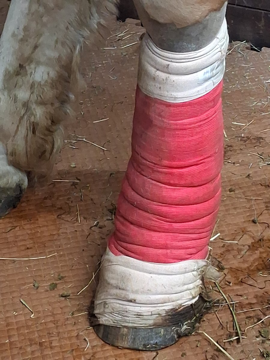 20260807_124810.jpg