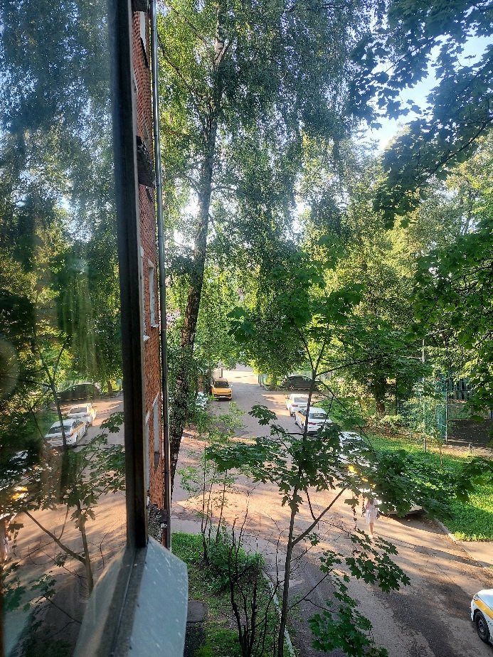 20260807_175155.jpg