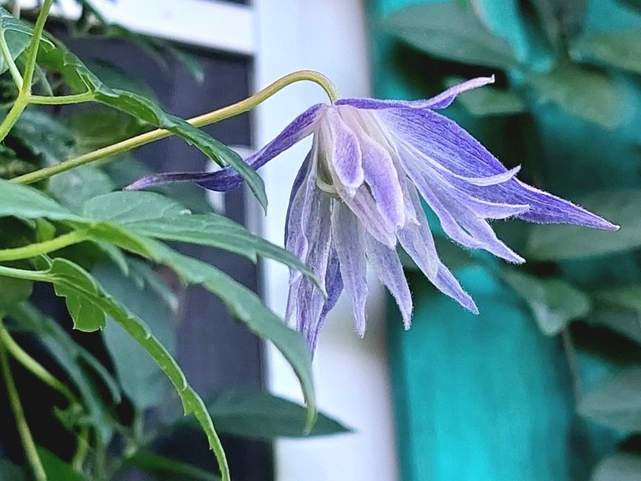 20260809_151421.jpg
