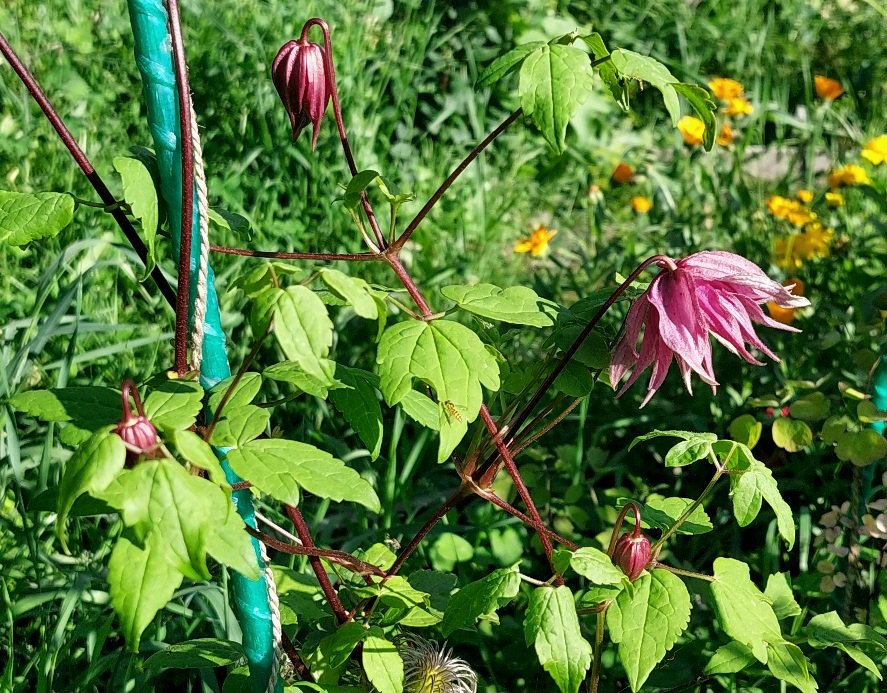 20260809_162526.jpg