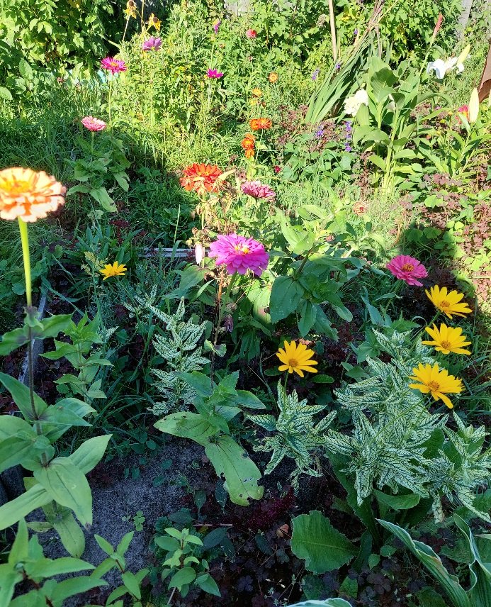 20260809_164117.jpg