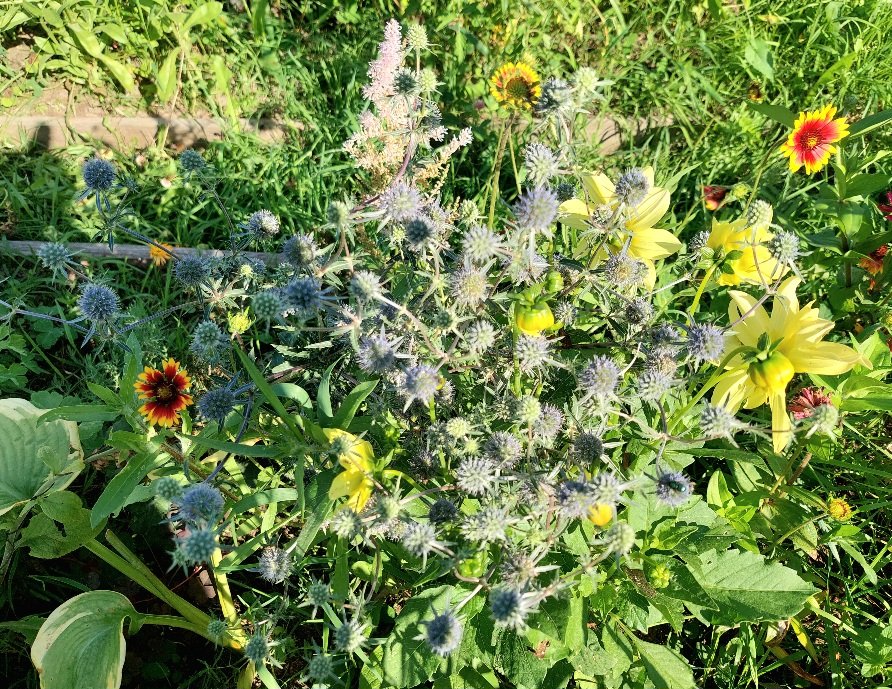 20260809_165918.jpg