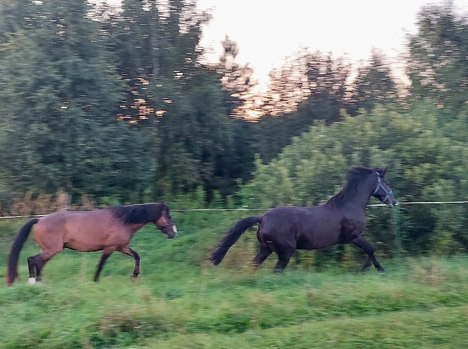 20260809_201824.jpg