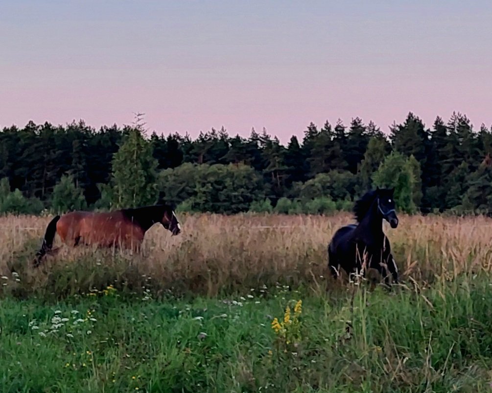 20260809_201924.jpg