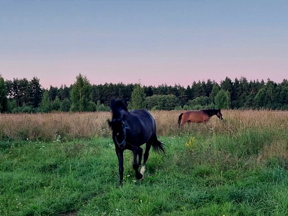 20260809_201927.jpg