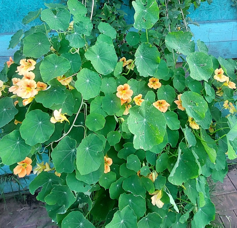 20260810_192551.jpg