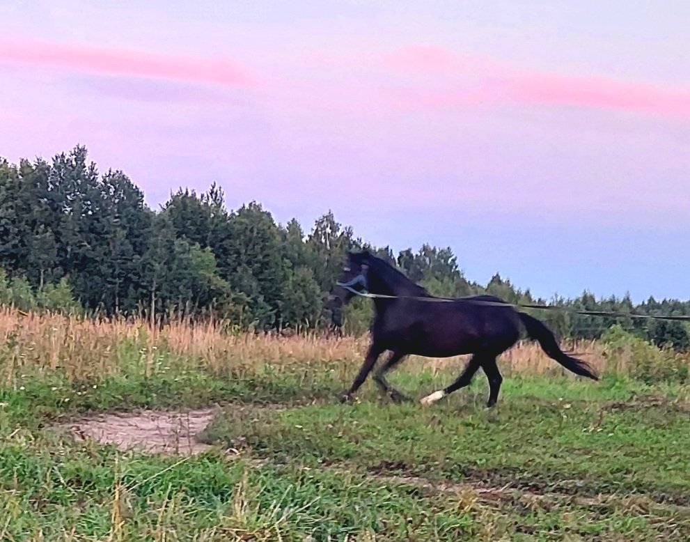20260810_202258.jpg