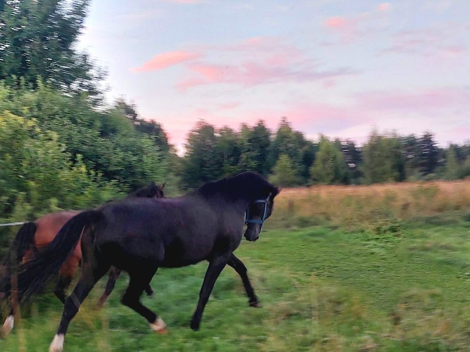 20260810_202503.jpg