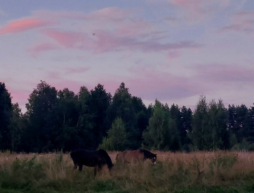 20260810_202519.jpg