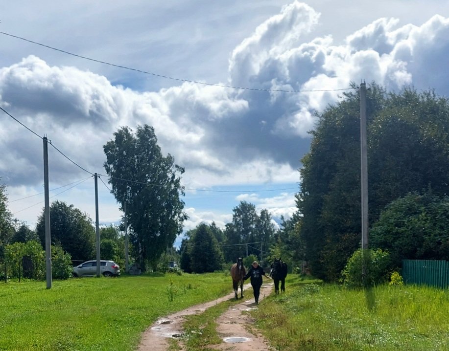 20260812_144736.jpg
