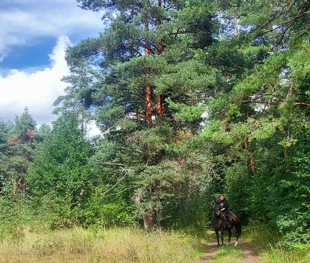 20260812_145512.jpg