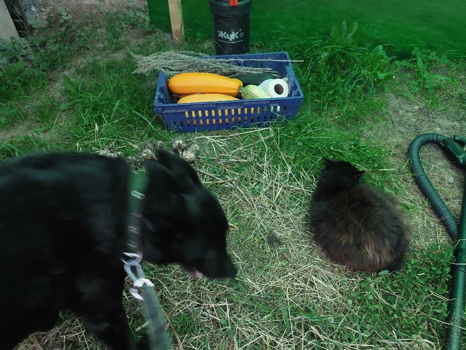 20260812_201114.jpg