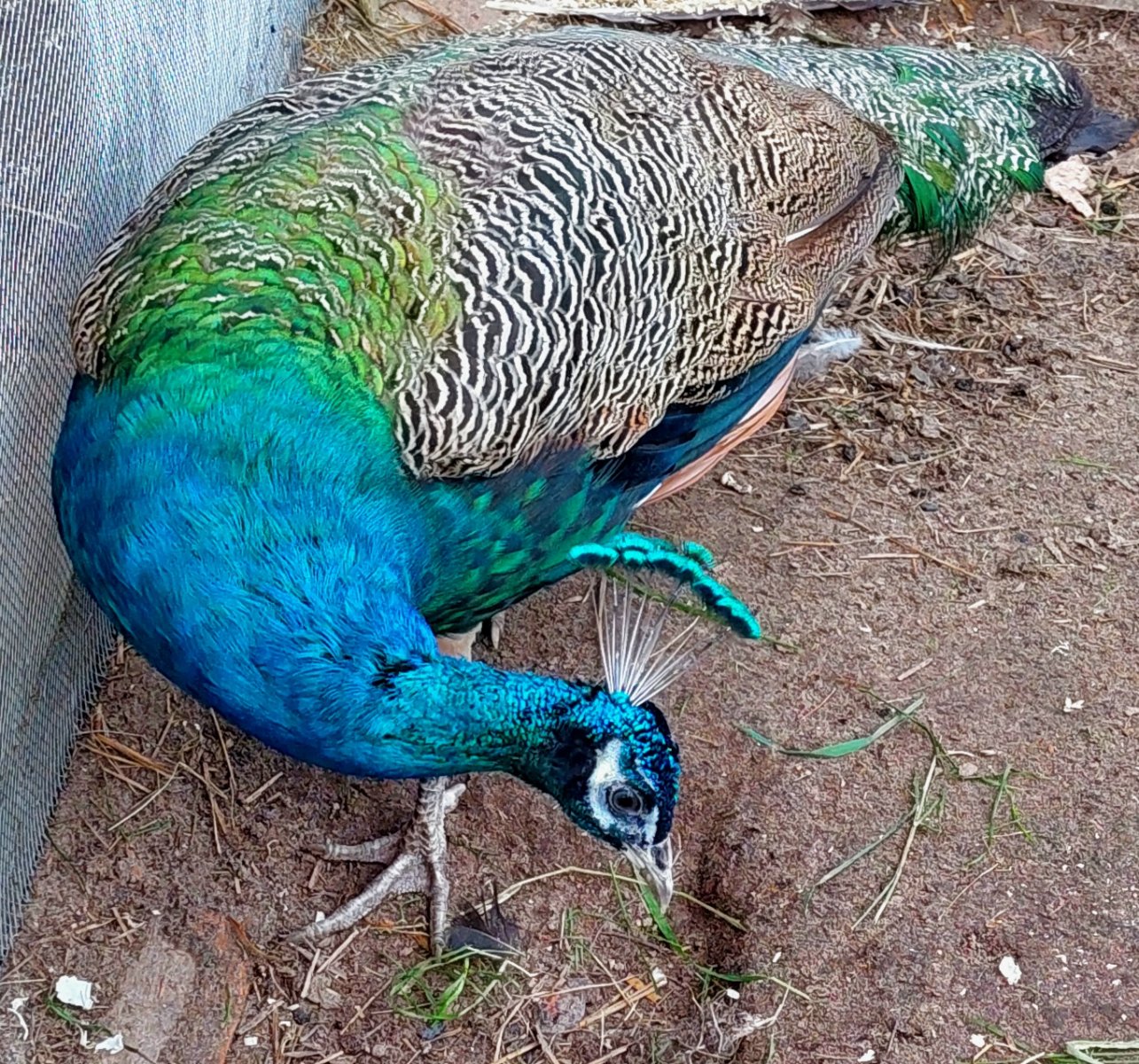 20260813_192444.jpg