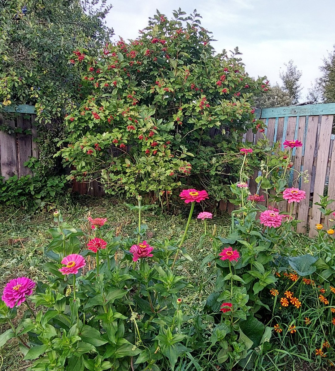 20260813_192846.jpg