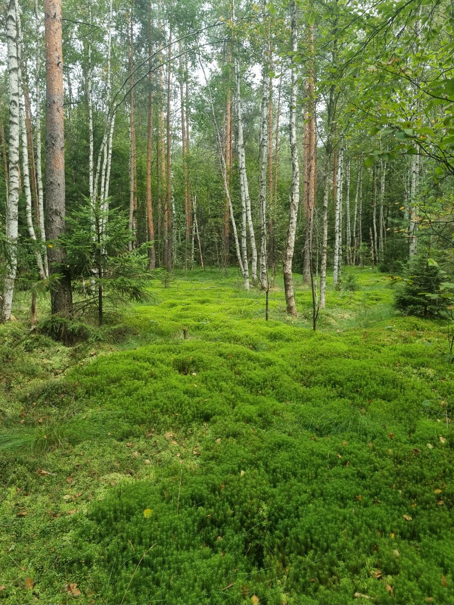 20260814_183157.jpg