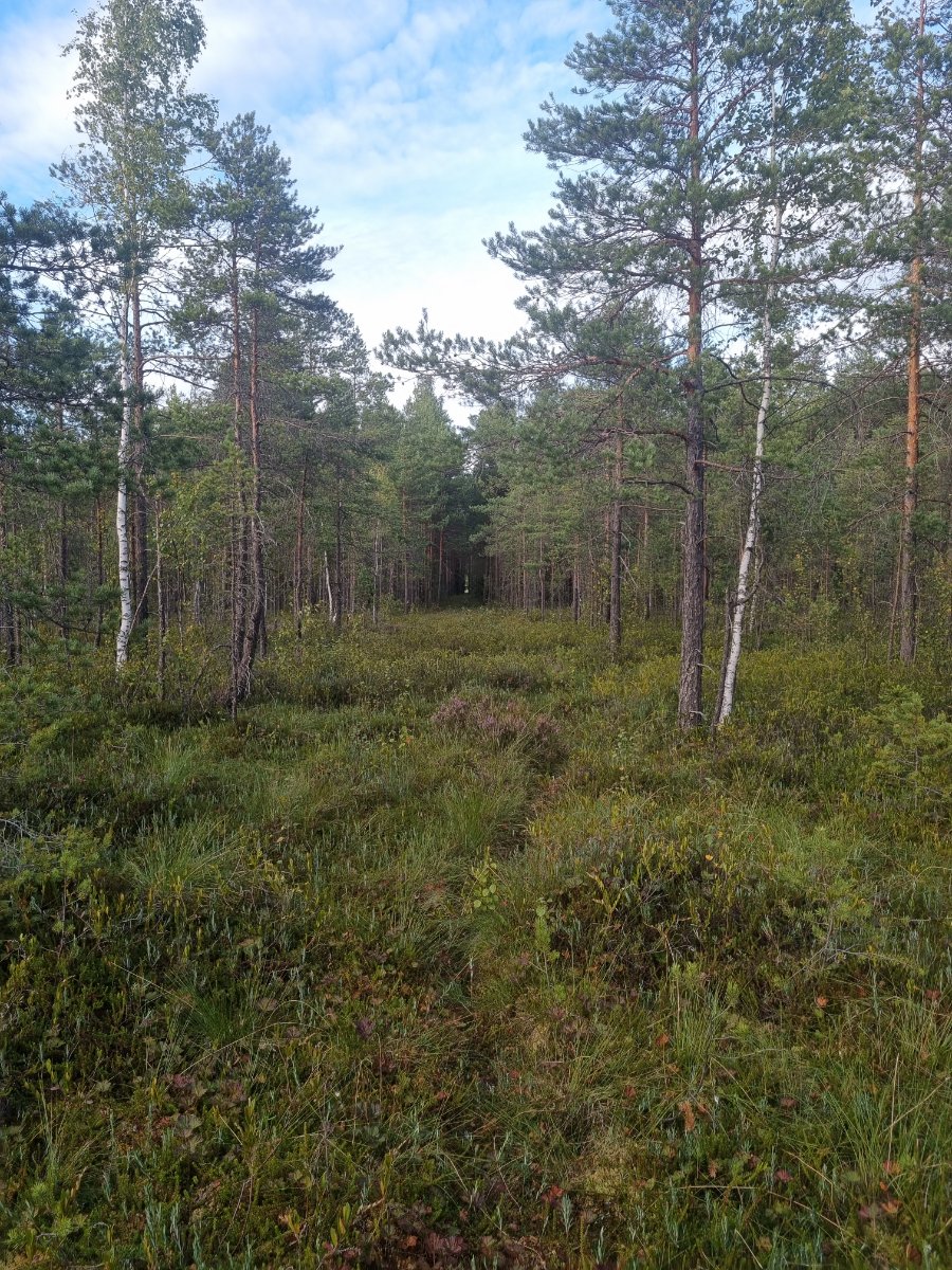 20260814_190133.jpg