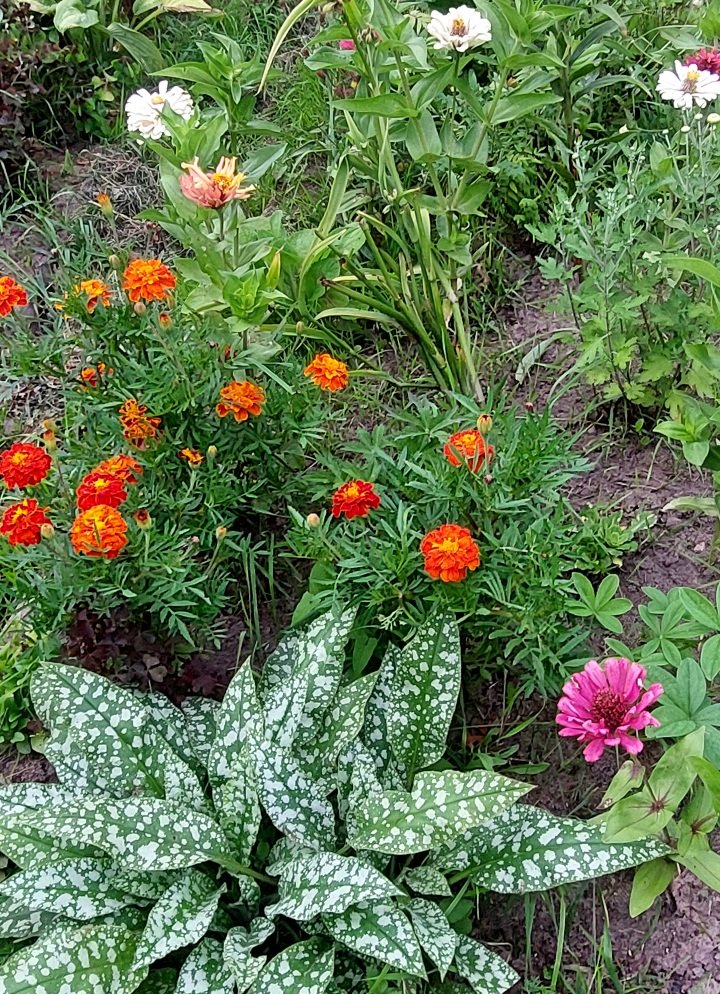 20260816_191143.jpg