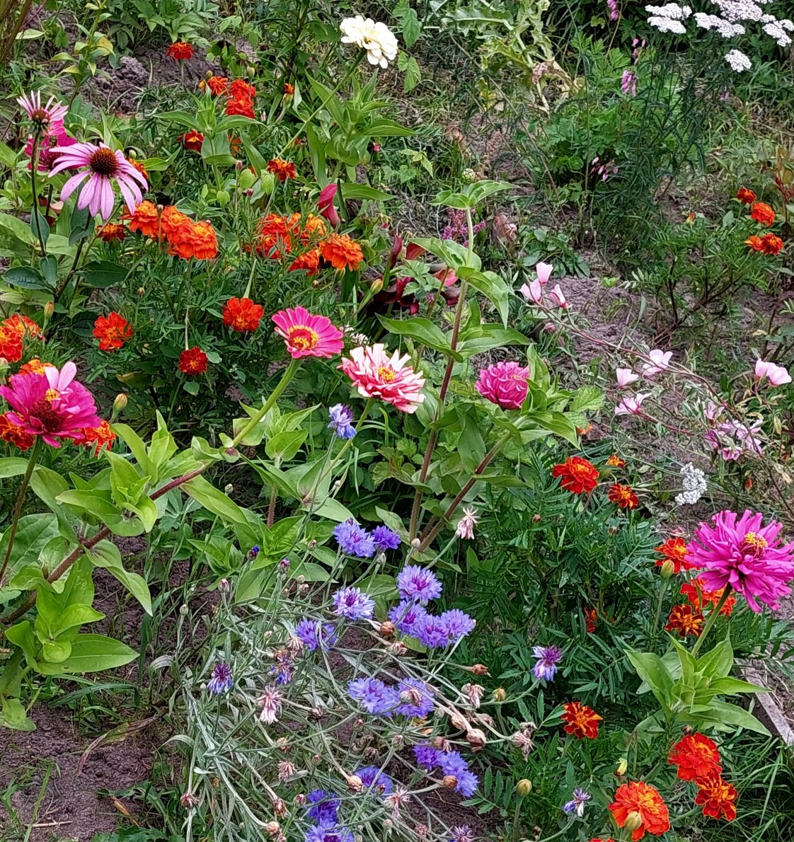 20260816_191201.jpg