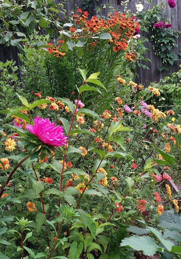 20260816_191311.jpg