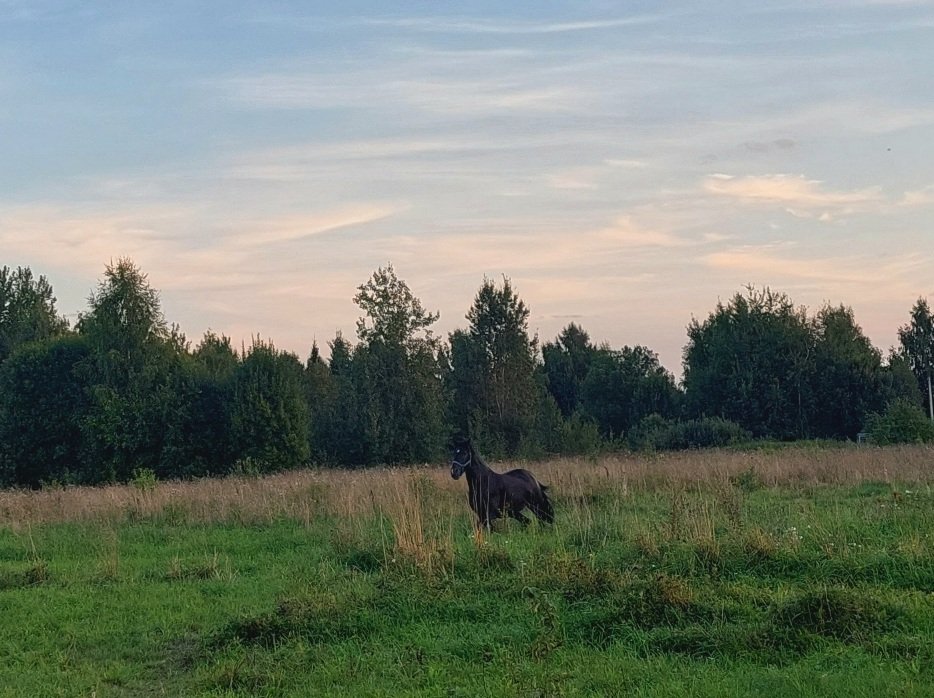 20260817_192741.jpg