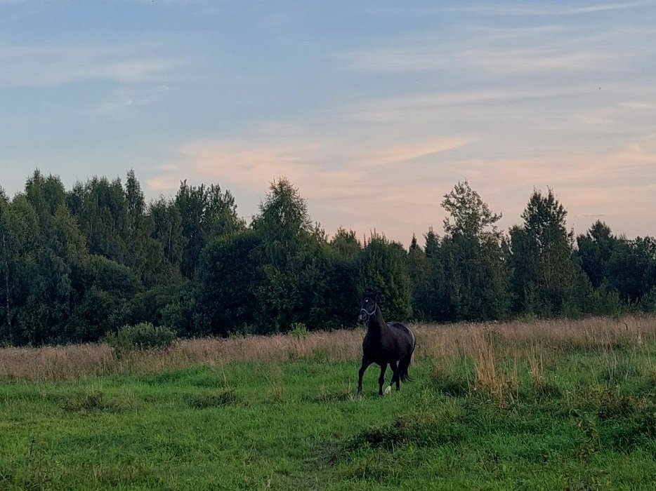 20260817_192742.jpg