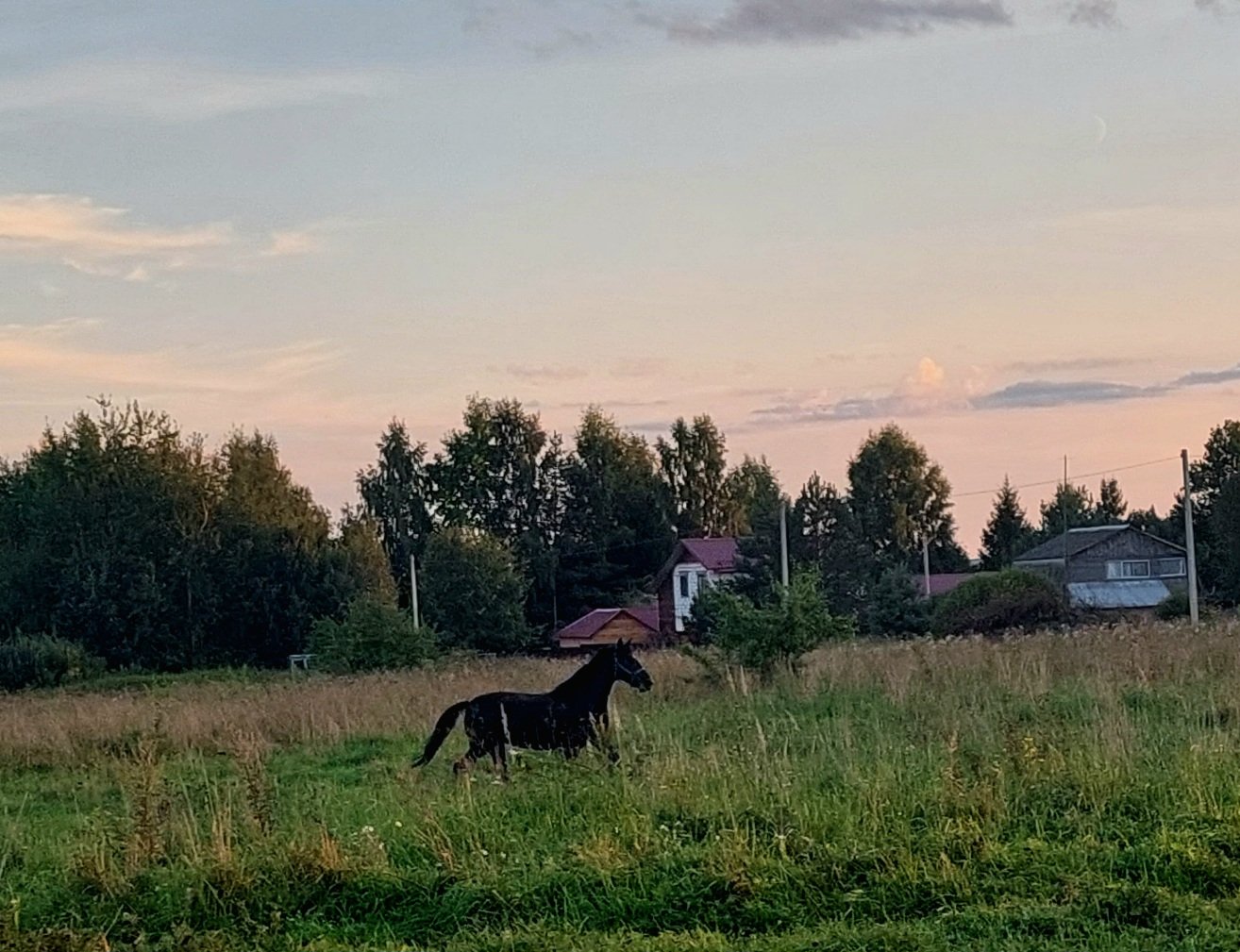 20260817_192925.jpg