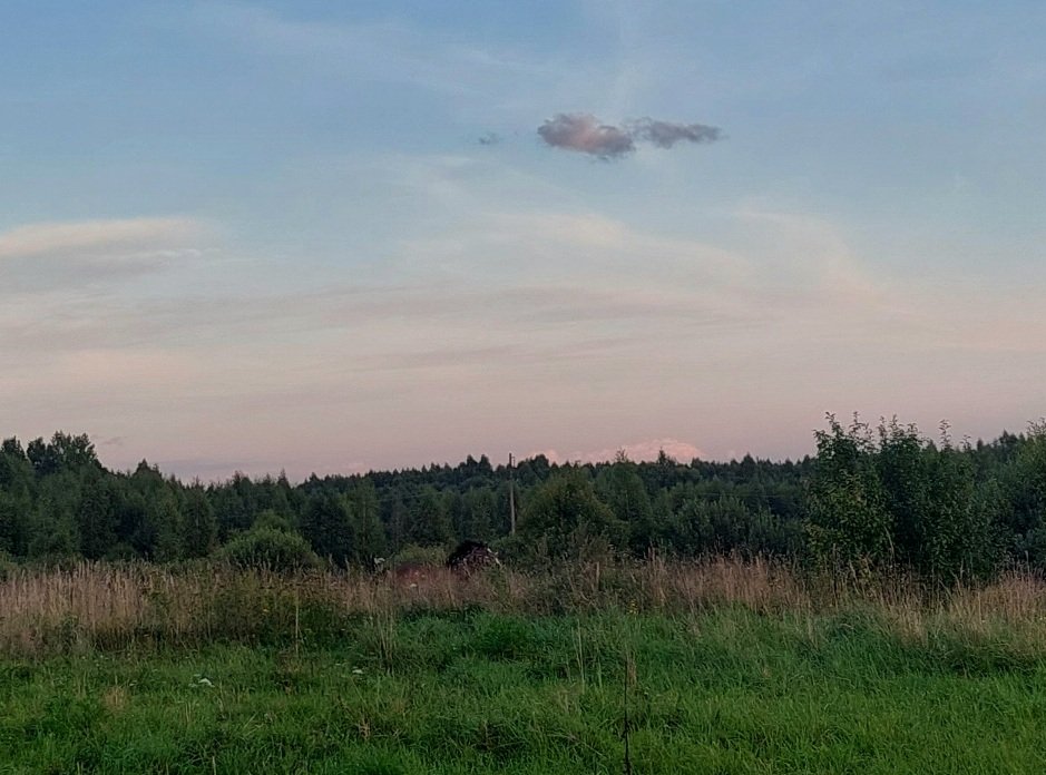 20260817_193251.jpg