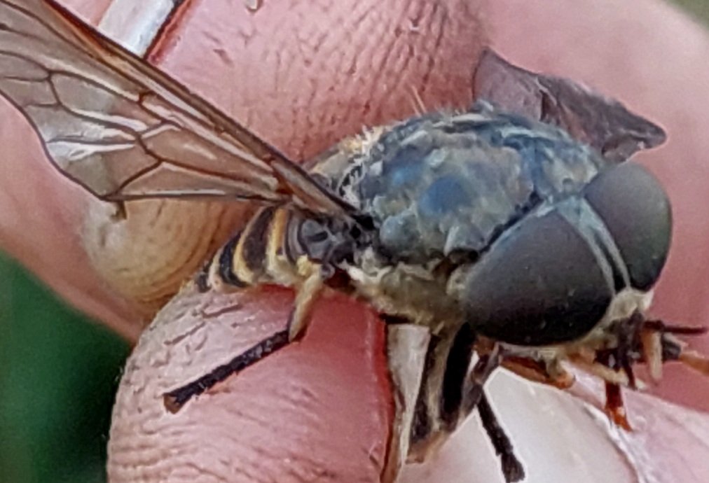 20260817_194140.jpg