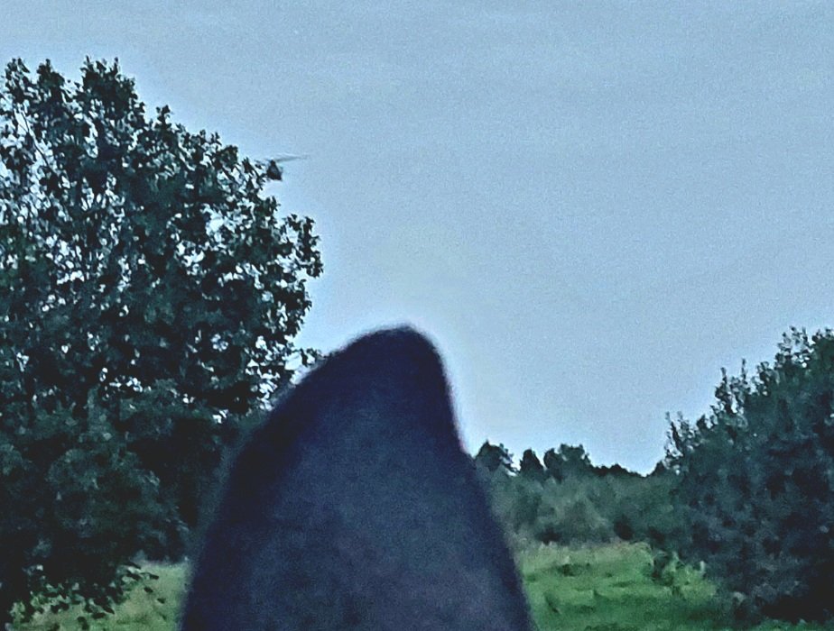 20260818_201132.jpg