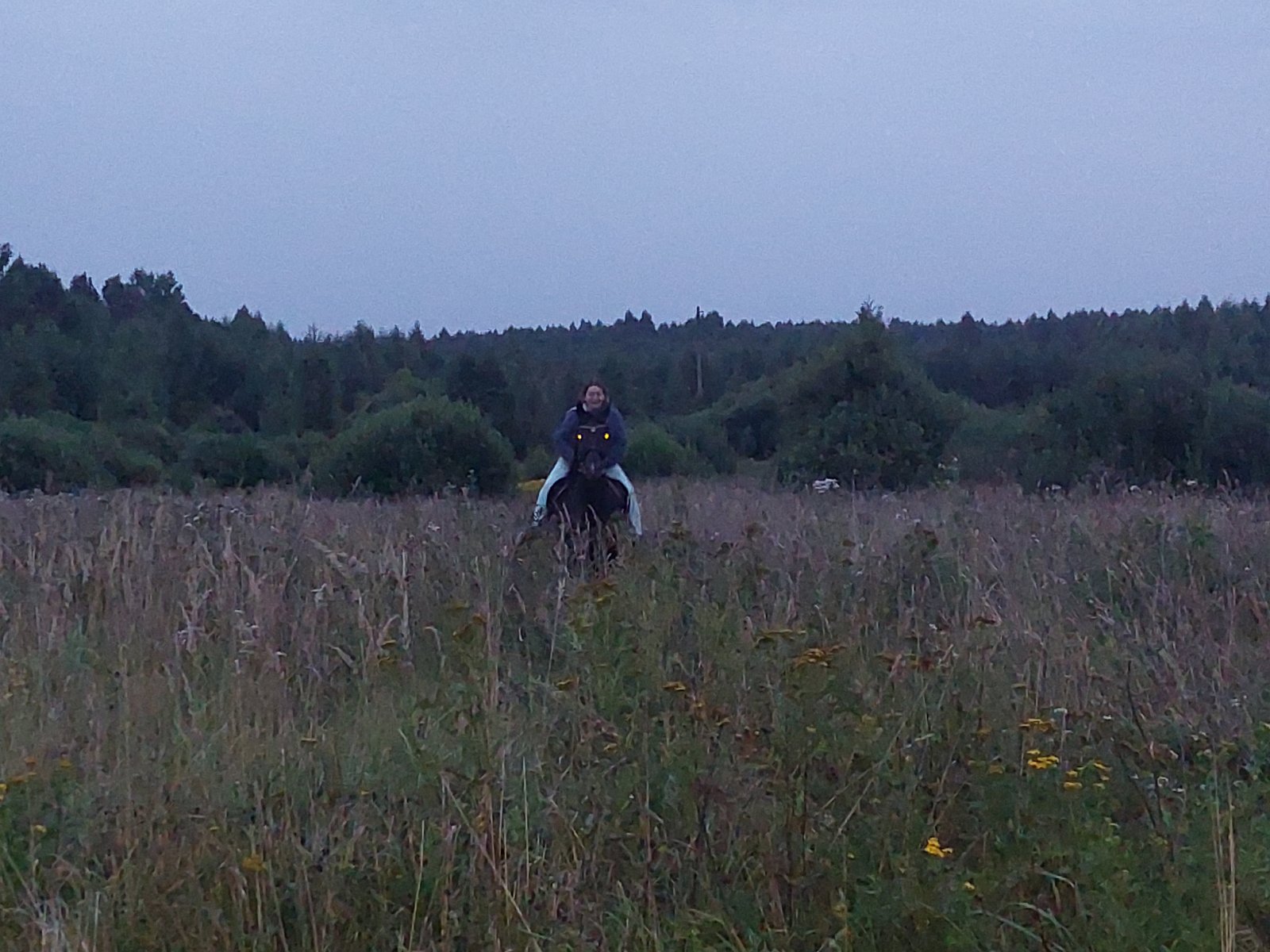 20260818_201710.jpg