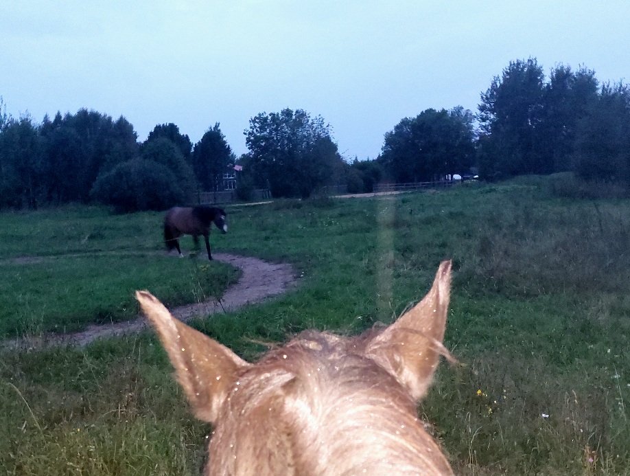 20260818_201949.jpg