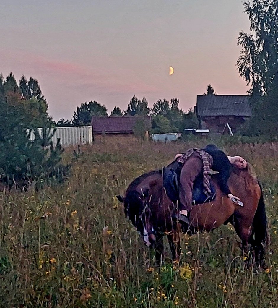 20260819_201245.jpg