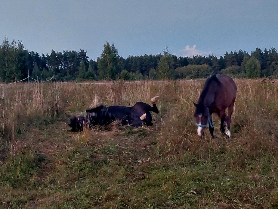 20260821_201913.jpg