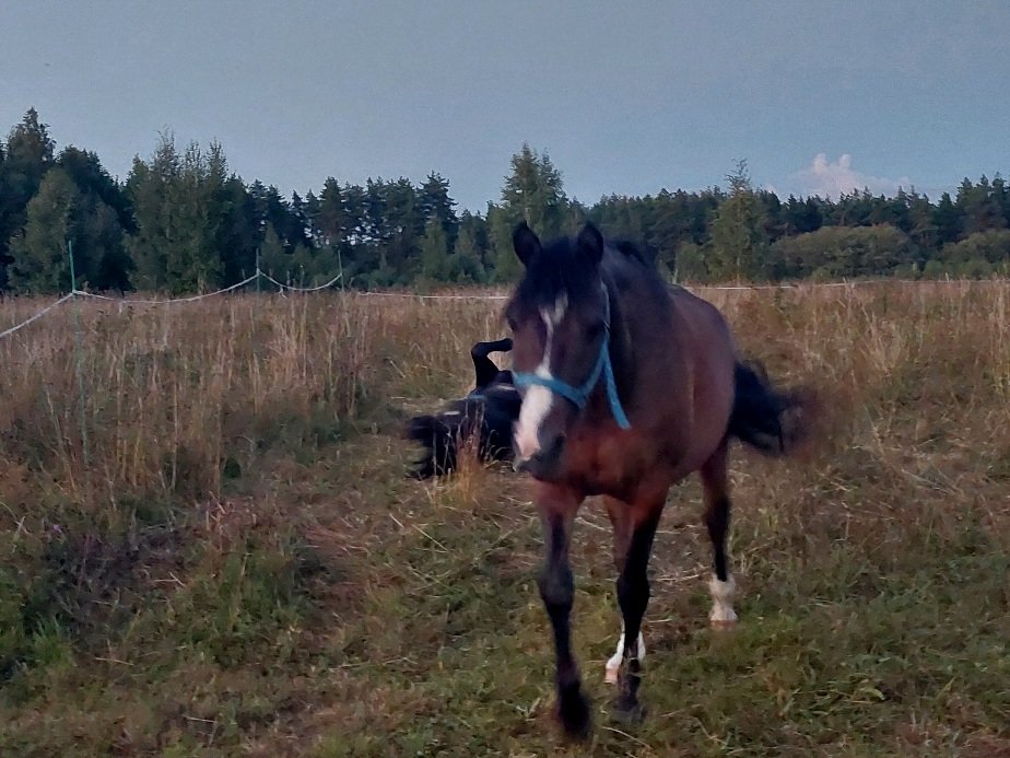 20260821_201917.jpg