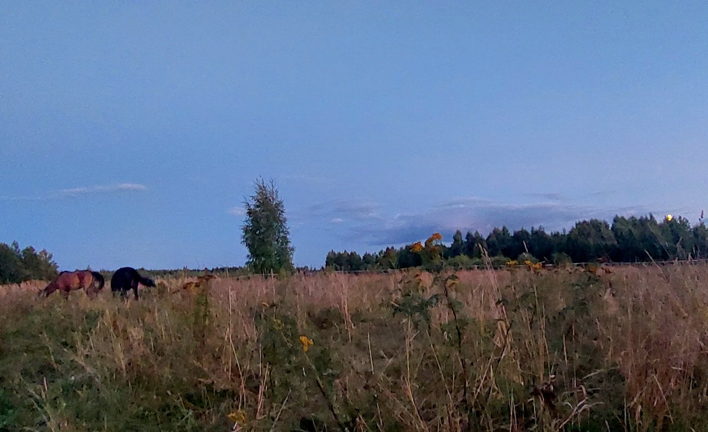 20260821_202041.jpg