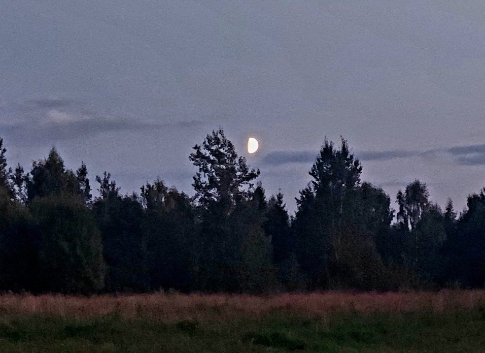 20260821_202232.jpg