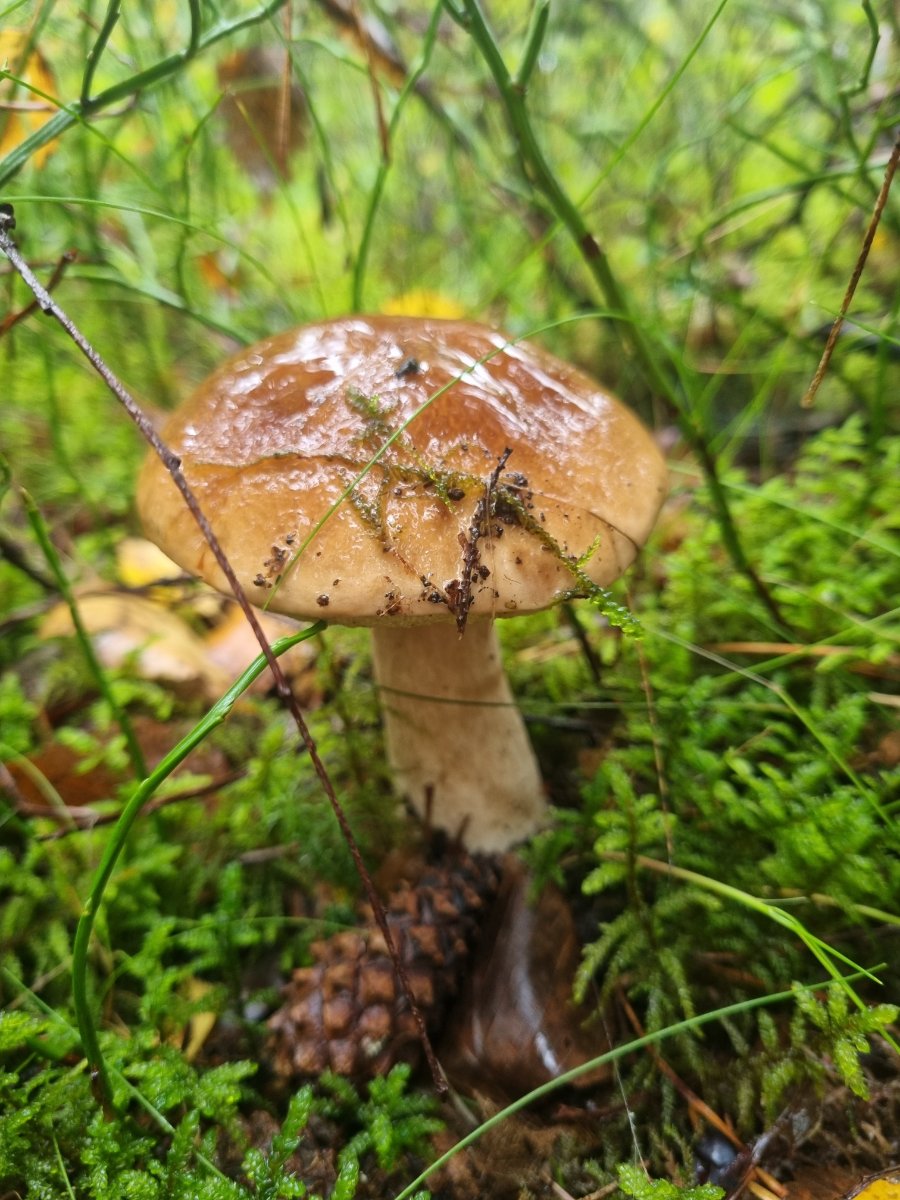 20260823_162531.jpg