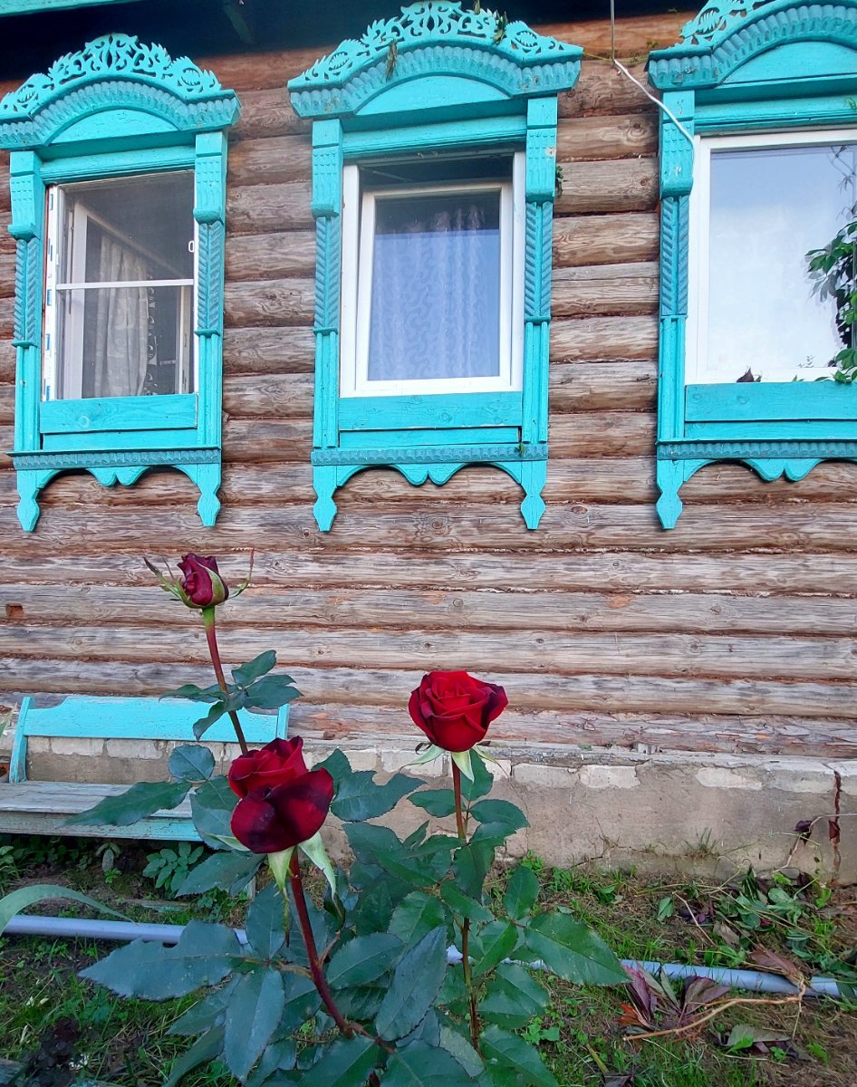 20260823_191412.jpg
