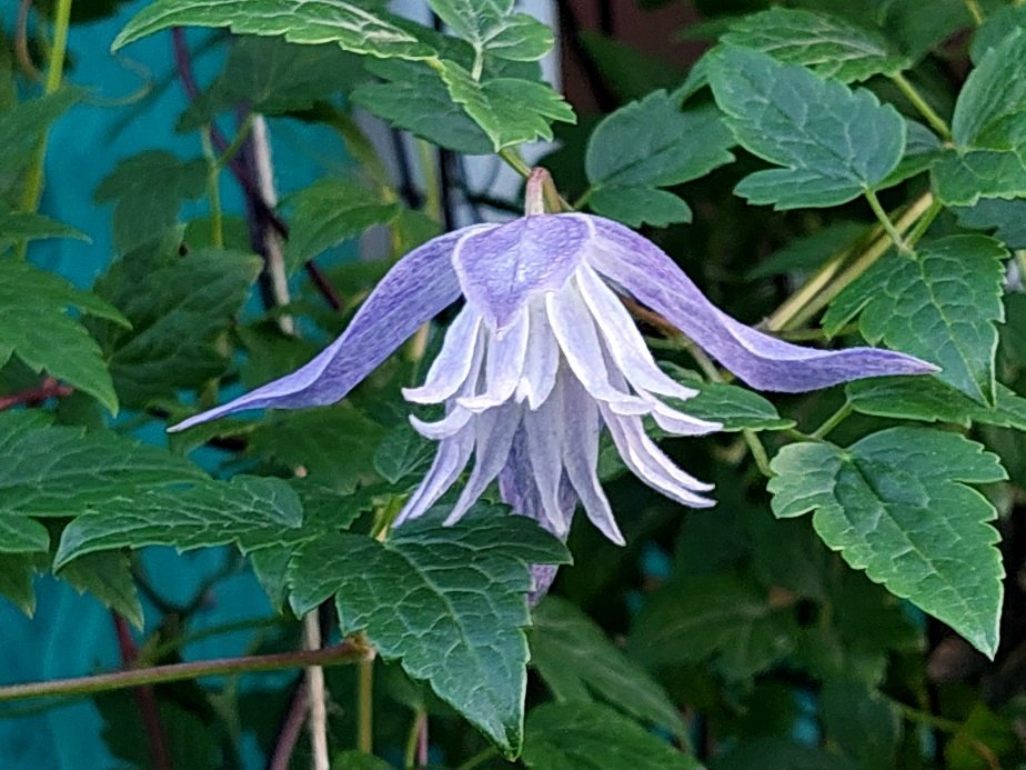 20260823_191736.jpg