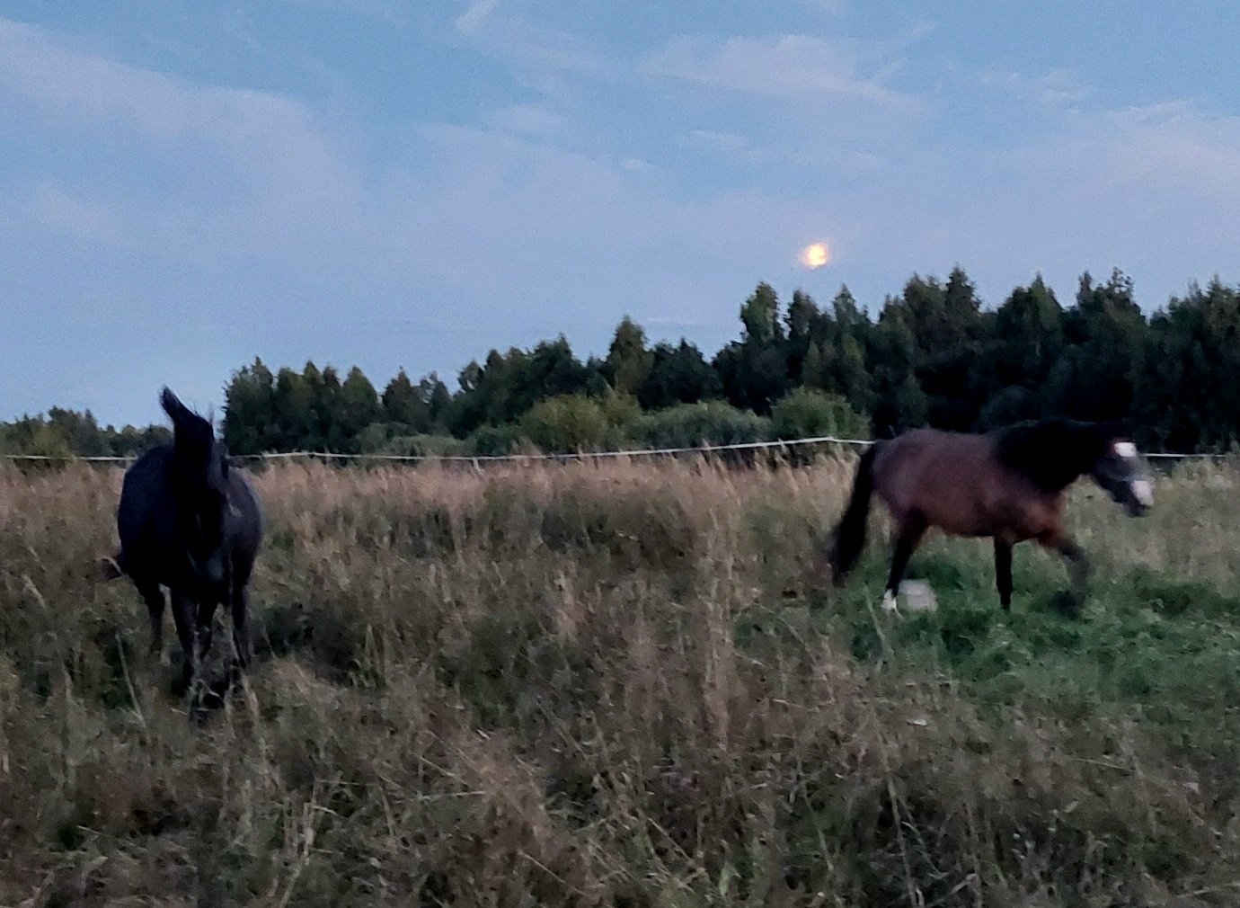20260823_201810.jpg