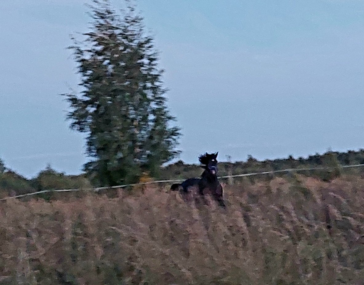 20260823_201850.jpg