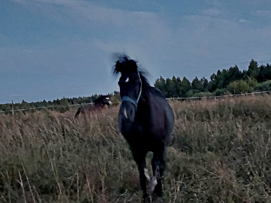 20260823_201854.jpg