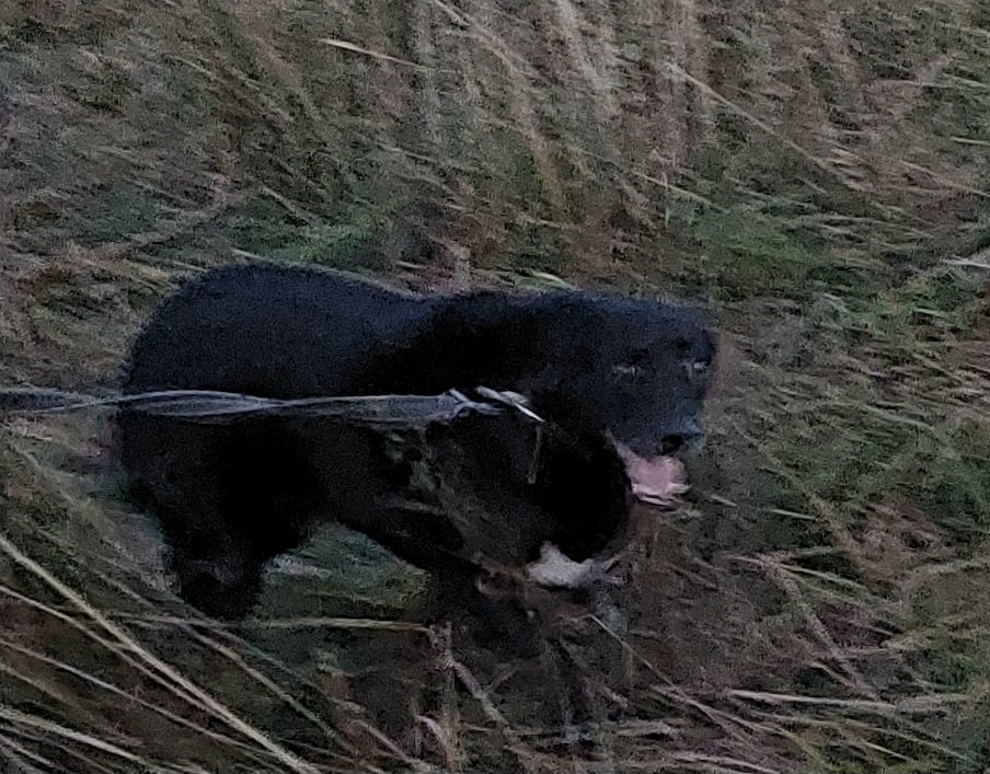 20260823_202046.jpg
