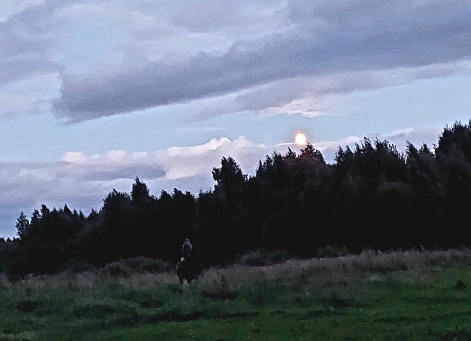 20260824_201631.jpg