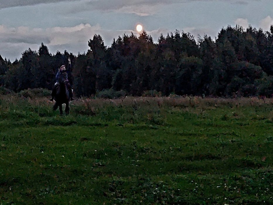 20260824_201647.jpg
