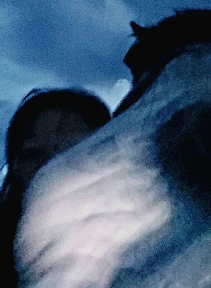 20260824_203100.jpg