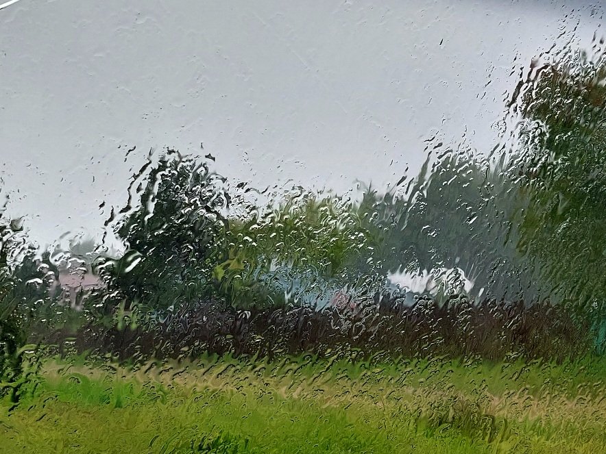20260825_161133.jpg