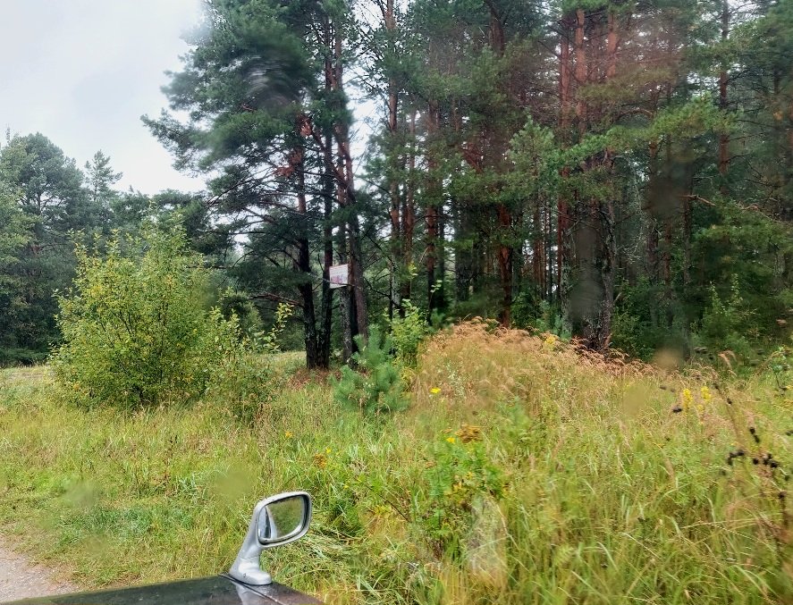 20260825_161456.jpg