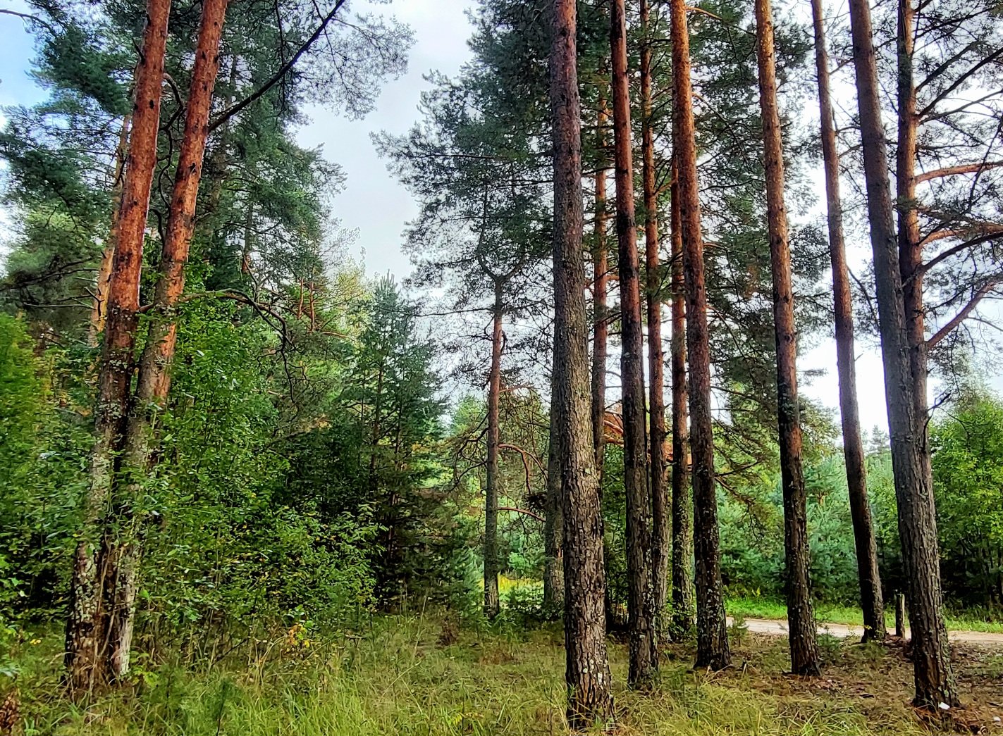 20260825_172123.jpg